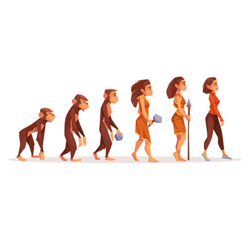 evolution 500 x 500